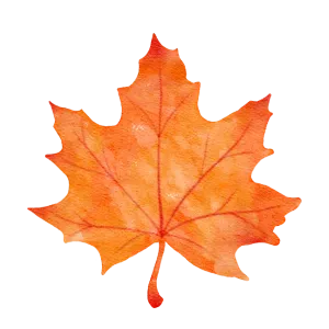 Watercolor painting of a vibrant orange maple leaf. Fall foliage art, autumn leaves illustration. Seasonal decor element for Newark, New Jersey.