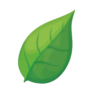 Illustration of a vibrant green leaf with detailed veins, symbolizing nature's freshness and vitality. Leaf in Newark, New Jersey.